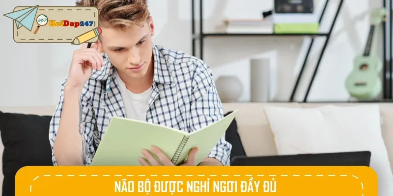 Ánh sáng mặt trời buổi sáng giúp não tỉnh táo, nâng cao khả năng tập trung
