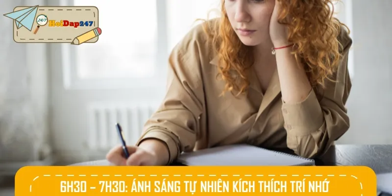 Ánh sáng tự nhiên khoảng 6h30 đến 7h30 giúp kích thích trí nhớ