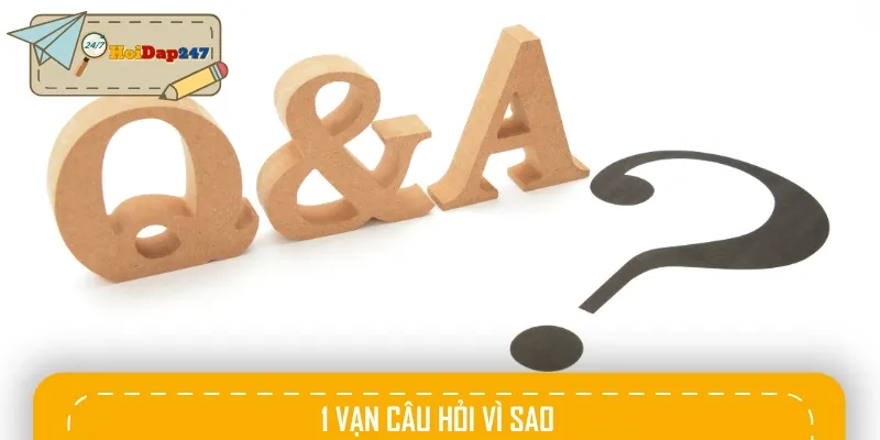 Tại Hỏi đáp 247, học sinh sẽ có thêm kiến thức về 1 vạn câu hỏi vì sao