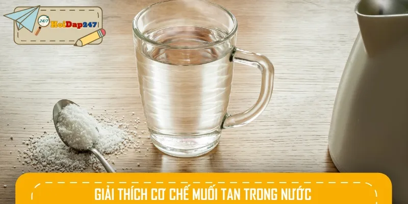 Cơ chế muối tan trong nước nhờ quá trình tương tác giữa các ion và phân tử