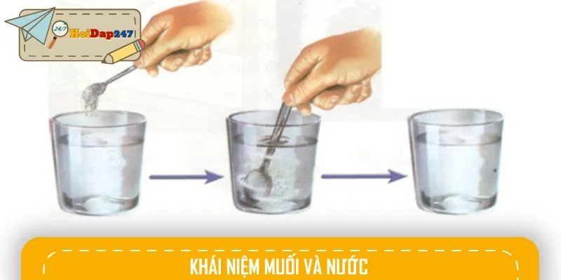 Giải thích khái niệm muối và nước khi kết hợp