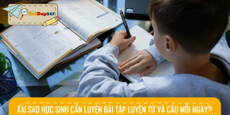 Lý do học sinh cần ôn bài tập luyện từ và câu thường xuyên